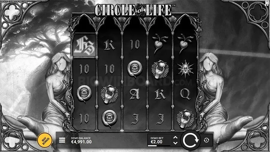 Live casino dealer